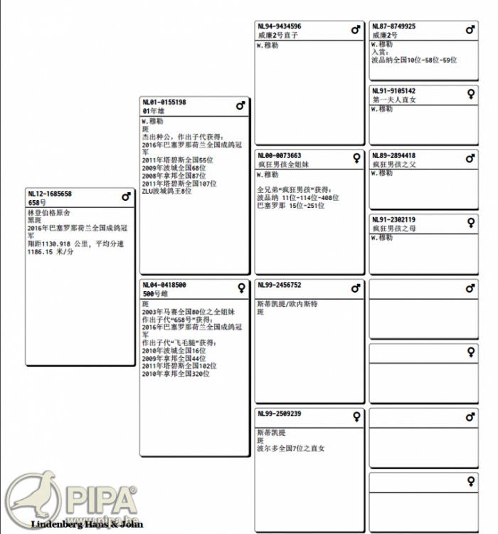 658號冠軍中文血統書.jpg